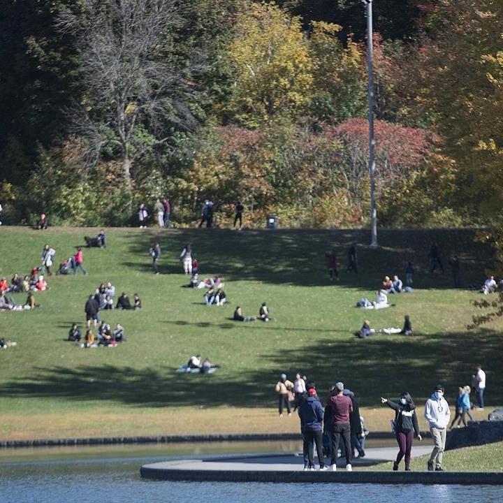 Montreal to expand Mount Royal Park, ban cars from part of main access road